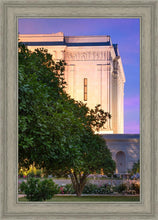 Load image into Gallery viewer, Mesa Temple Living Heritages

