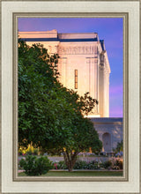 Load image into Gallery viewer, Mesa Temple Living Heritages

