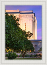 Load image into Gallery viewer, Mesa Temple Living Heritages
