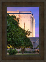 Load image into Gallery viewer, Mesa Temple Living Heritages
