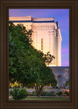 Load image into Gallery viewer, Mesa Temple Living Heritages

