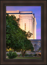 Load image into Gallery viewer, Mesa Temple Living Heritages
