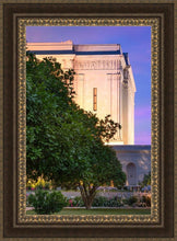 Load image into Gallery viewer, Mesa Temple Living Heritages
