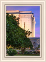 Load image into Gallery viewer, Mesa Temple Living Heritages
