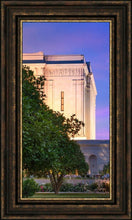 Load image into Gallery viewer, Mesa Temple Living Heritages

