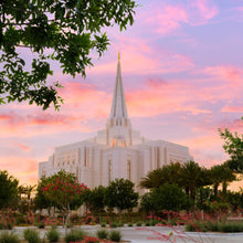 Load image into Gallery viewer, Gilbert Temple Come Seeking Peace Gallery Wrap
