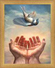 Load image into Gallery viewer, Every Sparrow
