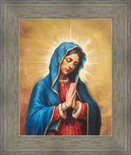 Load image into Gallery viewer, Our Rose of Tepeyac
