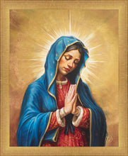 Load image into Gallery viewer, Our Rose of Tepeyac
