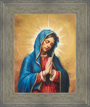 Load image into Gallery viewer, Our Rose of Tepeyac
