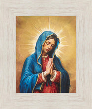 Load image into Gallery viewer, Our Rose of Tepeyac
