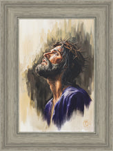 Load image into Gallery viewer, Coronation ll
