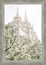 Load image into Gallery viewer, Sweet is The Work Salt Lake City Utah Temple
