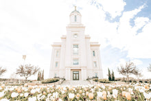 Load image into Gallery viewer, Sweet is The Work Cedar City Utah Temple
