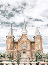 Load image into Gallery viewer, Provo City Center Temple Gates
