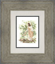Load image into Gallery viewer, Watching Over His Vineyard
