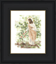 Load image into Gallery viewer, Watching Over His Vineyard
