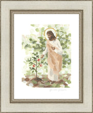 Load image into Gallery viewer, Watching Over His Vineyard
