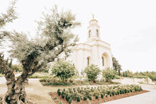 Load image into Gallery viewer, Sweet is The Work Feather River California Temple
