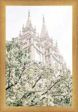 Load image into Gallery viewer, Sweet is The Work Salt Lake City Utah Temple
