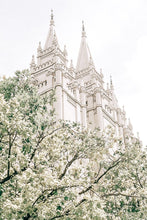 Load image into Gallery viewer, Sweet is The Work Salt Lake City Utah Temple
