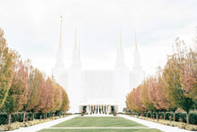 Load image into Gallery viewer, Sweet is The Work Washington DC Temple
