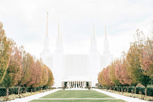 Load image into Gallery viewer, Sweet is The Work Washington DC Temple
