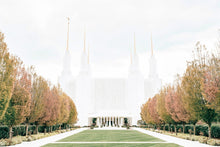 Load image into Gallery viewer, Sweet is The Work Washington DC Temple
