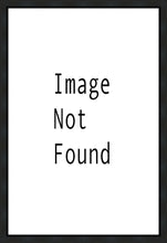Load image into Gallery viewer, Sweet is The Work Provo City Center Utah Temple
