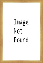 Load image into Gallery viewer, Sweet is The Work Provo City Center Utah Temple
