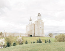 Load image into Gallery viewer, Sweet is The Work Manti Utah Temple
