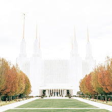 Load image into Gallery viewer, Sweet is The Work Washington DC Temple
