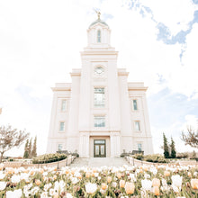 Load image into Gallery viewer, Sweet is The Work Cedar City Utah Temple
