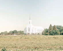 Load image into Gallery viewer, Burley Idaho Immaculate Embrace Blue
