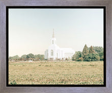 Load image into Gallery viewer, Burley Idaho Immaculate Embrace Blue
