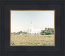 Load image into Gallery viewer, Burley Idaho Immaculate Embrace Blue
