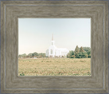 Load image into Gallery viewer, Burley Idaho Immaculate Embrace Blue

