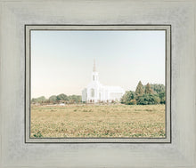 Load image into Gallery viewer, Burley Idaho Immaculate Embrace Blue
