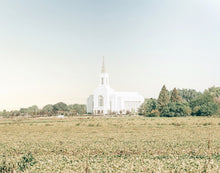 Load image into Gallery viewer, Burley Idaho Immaculate Embrace Blue
