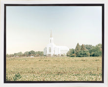 Load image into Gallery viewer, Burley Idaho Immaculate Embrace Blue
