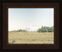 Load image into Gallery viewer, Burley Idaho Immaculate Embrace Blue

