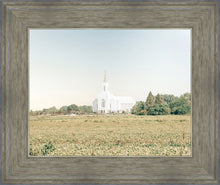 Load image into Gallery viewer, Burley Idaho Immaculate Embrace Blue
