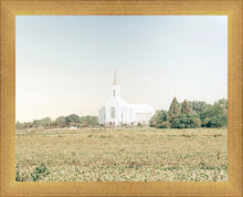Load image into Gallery viewer, Burley Idaho Immaculate Embrace Blue
