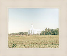 Load image into Gallery viewer, Burley Idaho Immaculate Embrace Blue
