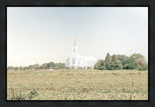 Load image into Gallery viewer, Burley Idaho Immaculate Embrace Blue
