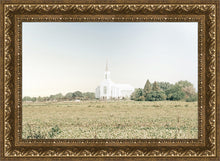 Load image into Gallery viewer, Burley Idaho Immaculate Embrace Blue
