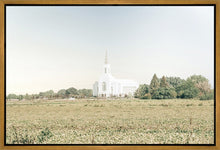 Load image into Gallery viewer, Burley Idaho Immaculate Embrace Blue
