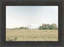 Load image into Gallery viewer, Burley Idaho Immaculate Embrace Blue
