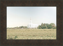 Load image into Gallery viewer, Burley Idaho Immaculate Embrace Blue
