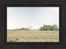 Load image into Gallery viewer, Burley Idaho Immaculate Embrace Blue
